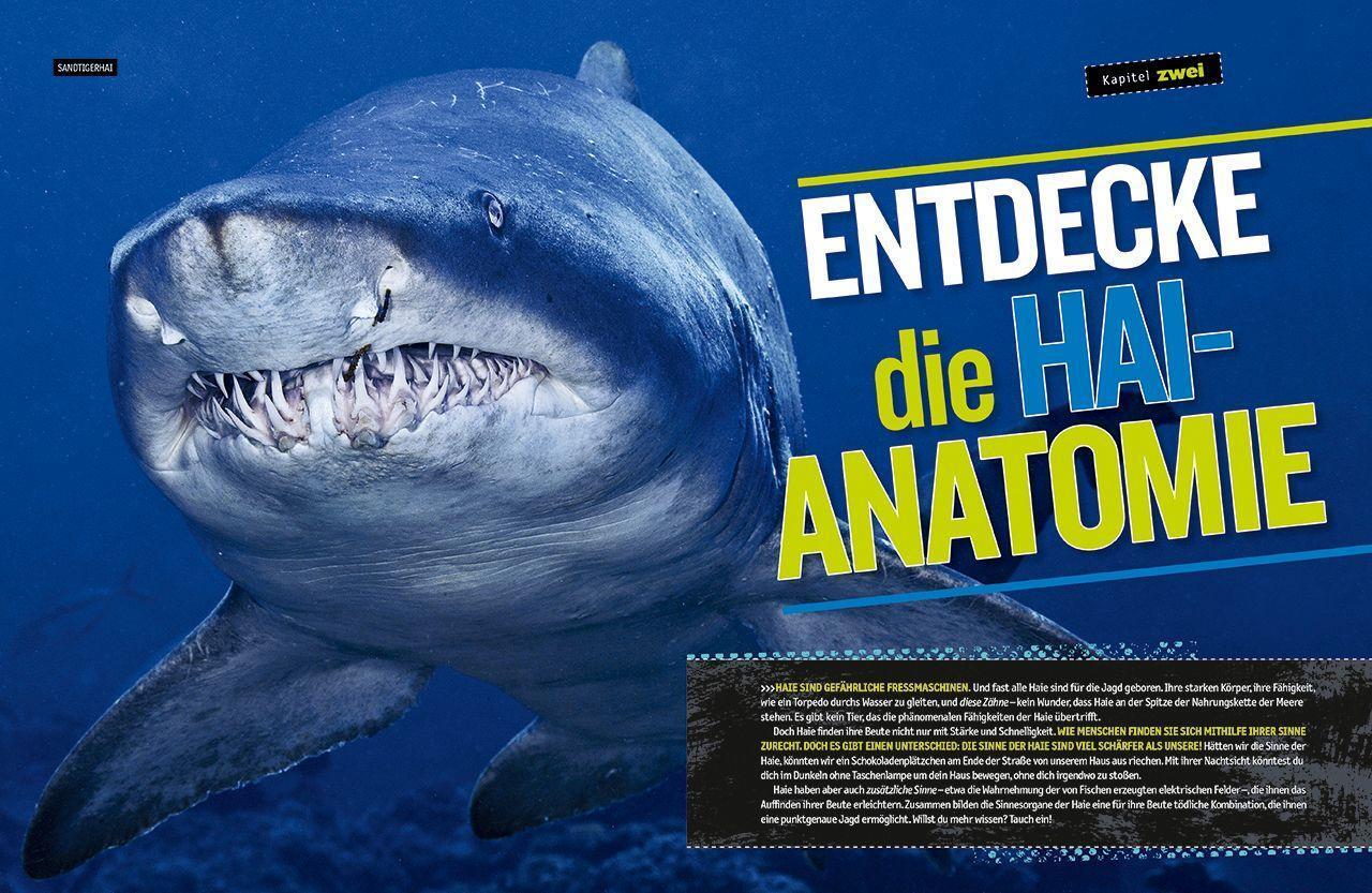 Bild: 9788854039964 | Das ultimative Buch der Haie | Brian Skerry | Buch | 192 S. | Deutsch