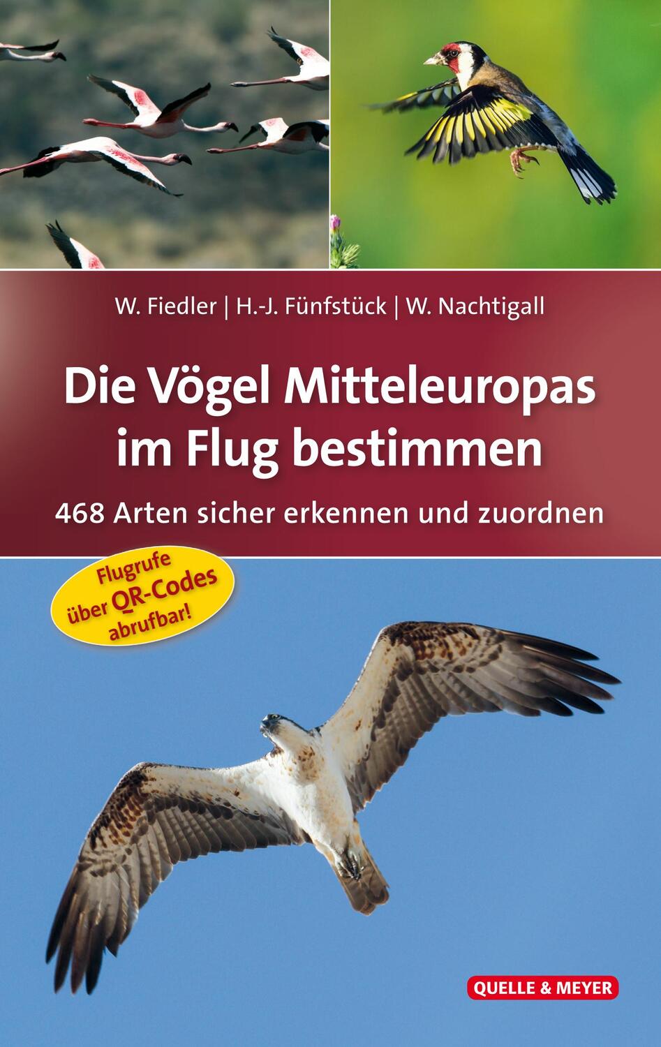 Cover: 9783494016733 | Die Vögel Mitteleuropas im Flug bestimmen | Wolfgang Fiedler (u. a.)
