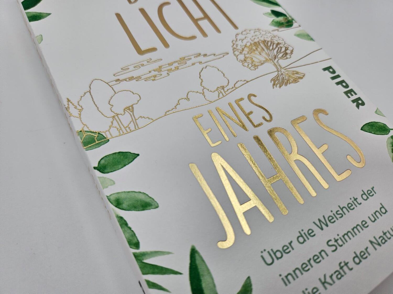 Bild: 9783492321044 | Das Licht eines Jahres | Kathrin Sohst | Taschenbuch | 208 S. | 2024