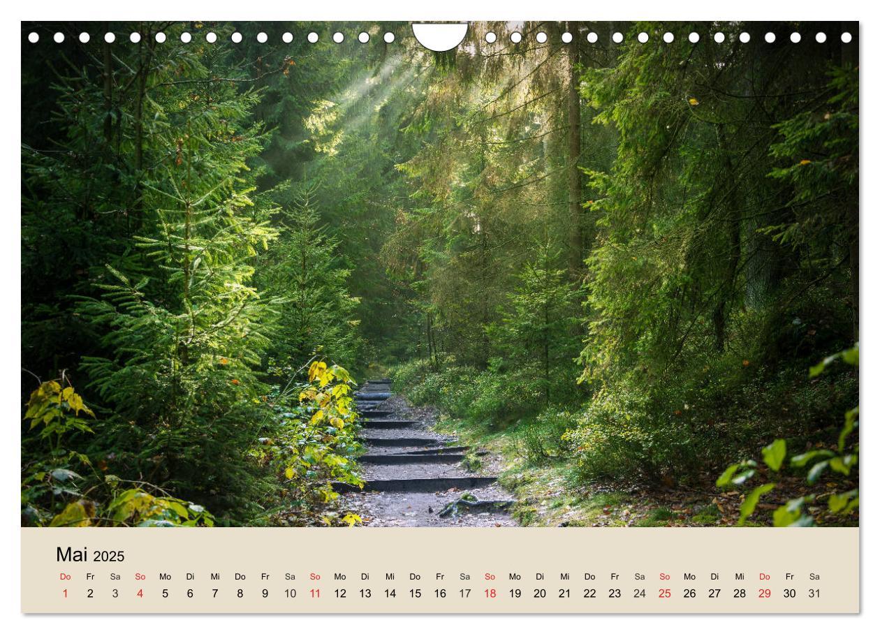 Bild: 9783435318612 | Der Wald. Durch zauberhafte Waldlandschaften (Wandkalender 2025 DIN...