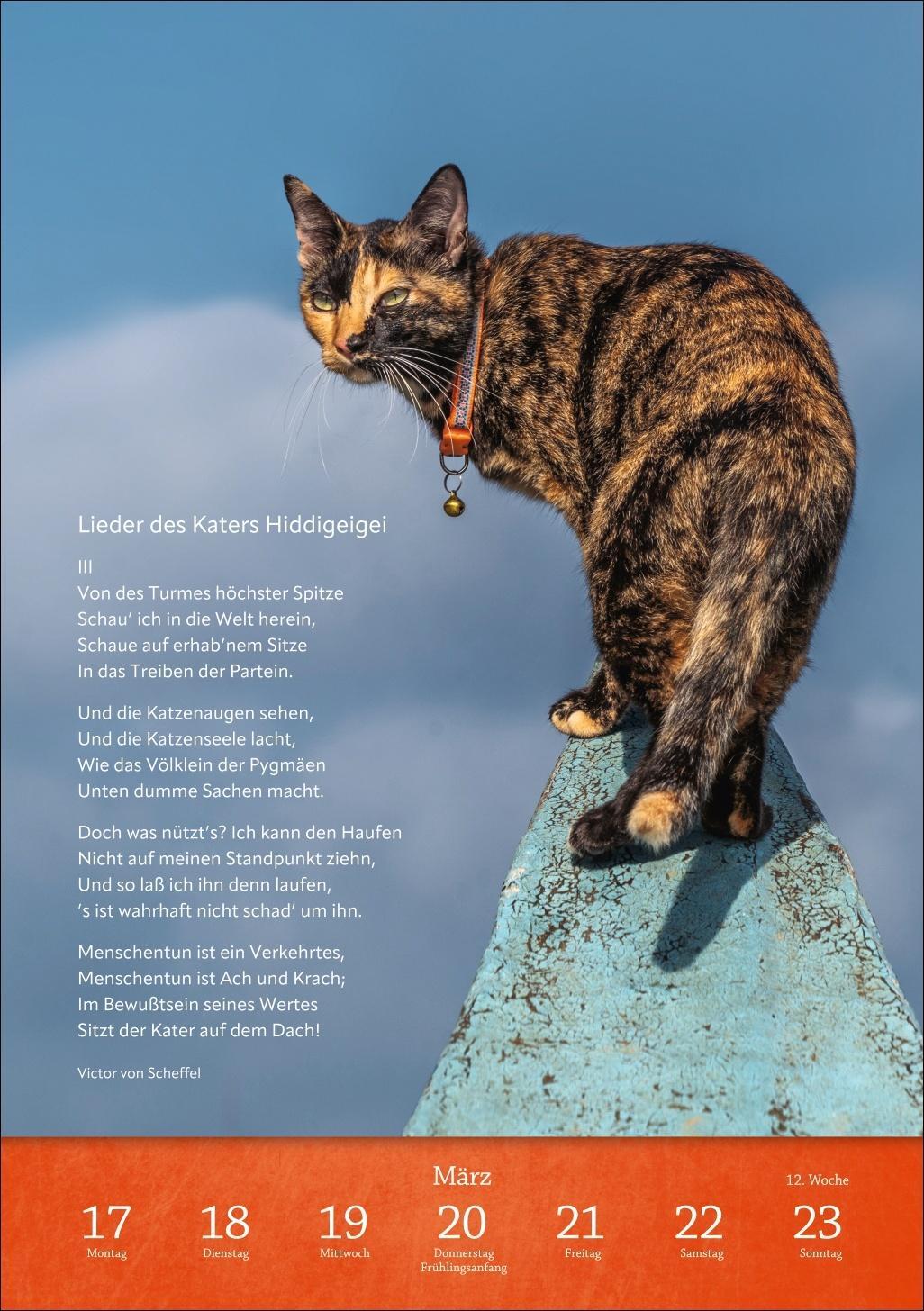 Bild: 9783840034275 | Literaturkalender Katzen Wochen-Kulturkalender 2025 | Harenberg | 2025