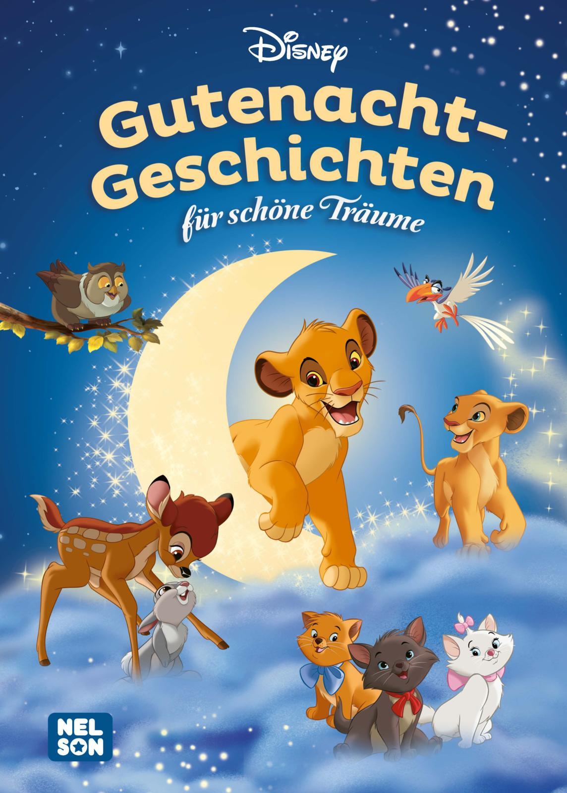 Cover: 9783845128245 | Disney Vorlesebuch: Gutenacht-Geschichten für schöne Träume | Buch