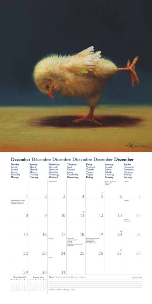 Bild: 4250809653914 | DUMONT - Yoga Chicks: Lucia Heffernan 2025 Broschürenkalender,...