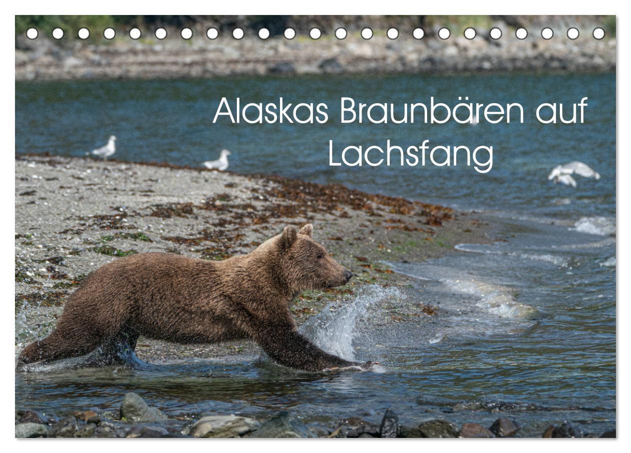 Cover: 9783675849839 | Grizzlybären im Katmai Nationalpark Alaska (Tischkalender 2024 DIN...