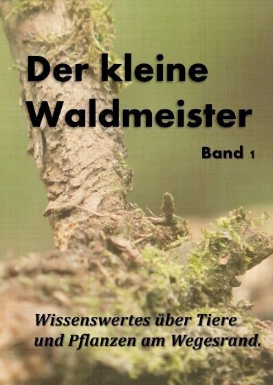 Cover: 9783384103536 | Der kleine Waldmeister | Daniel Bächer | Taschenbuch | Deutsch