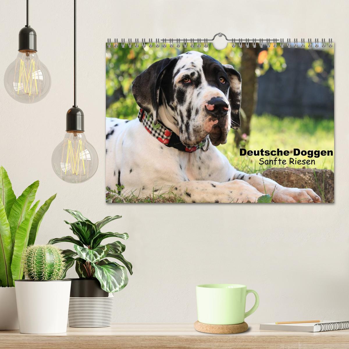 Bild: 9783435492305 | Deutsche Doggen - Sanfte Riesen (Wandkalender 2025 DIN A4 quer),...