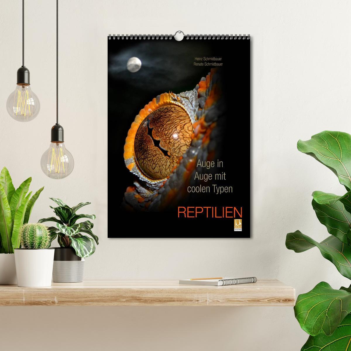 Bild: 9783457015674 | Auge in Auge mit coolen Typen - REPTILIEN (Wandkalender 2025 DIN A3...