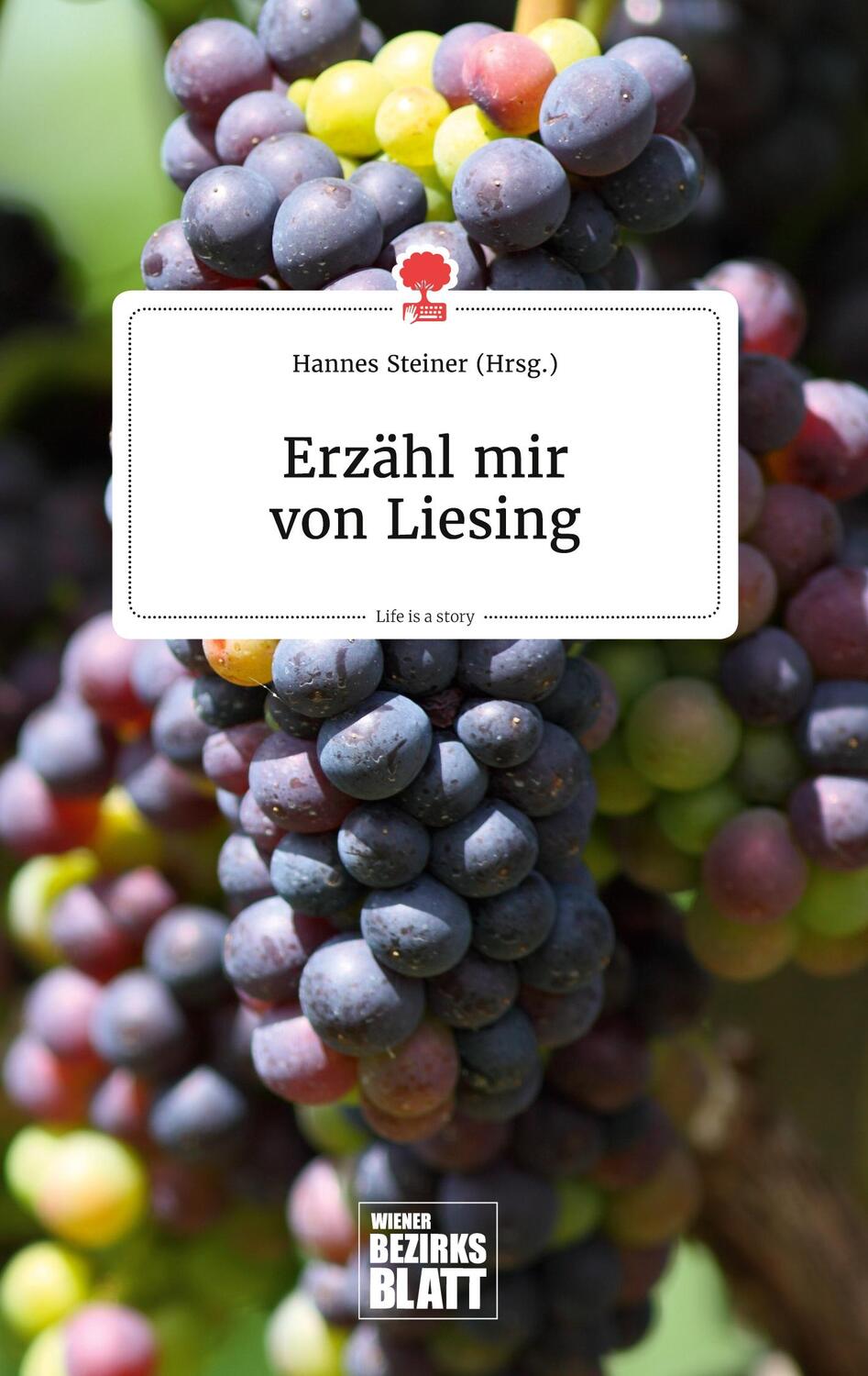 Cover: 9783990873236 | Erzähl mir von Liesing. Life is a Story - story.one | Hannes Steiner