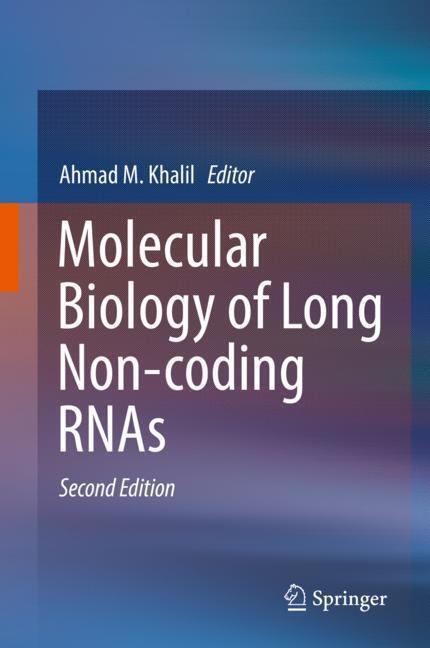 Cover: 9783030170851 | Molecular Biology of Long Non-coding RNAs | Ahmad M. Khalil | Buch