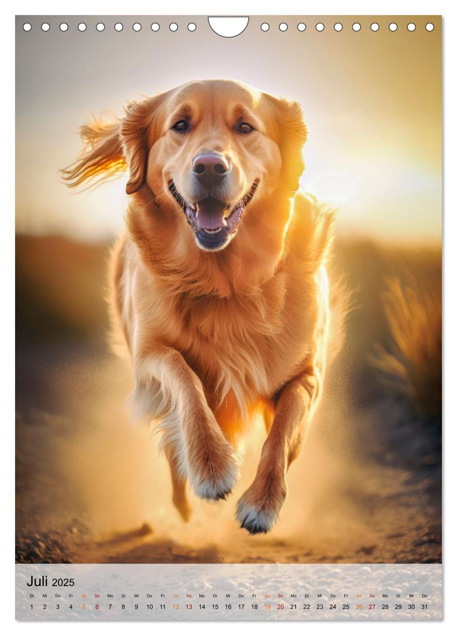 Bild: 9783435881246 | Golden Retriever - ein Hund für die Familie (Wandkalender 2025 DIN...