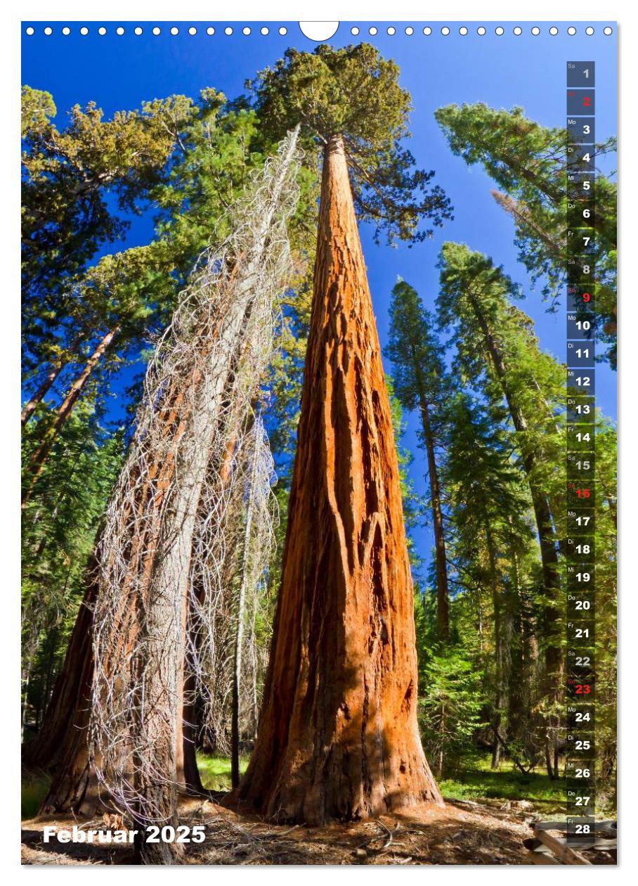 Bild: 9783457225790 | YOSEMITE VALLEY Natur Pur (Wandkalender 2025 DIN A3 hoch), CALVENDO...