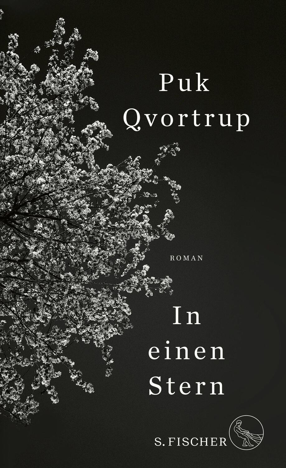 Cover: 9783103970234 | In einen Stern | Roman | Puk Qvortrup | Buch | Deutsch | 2021