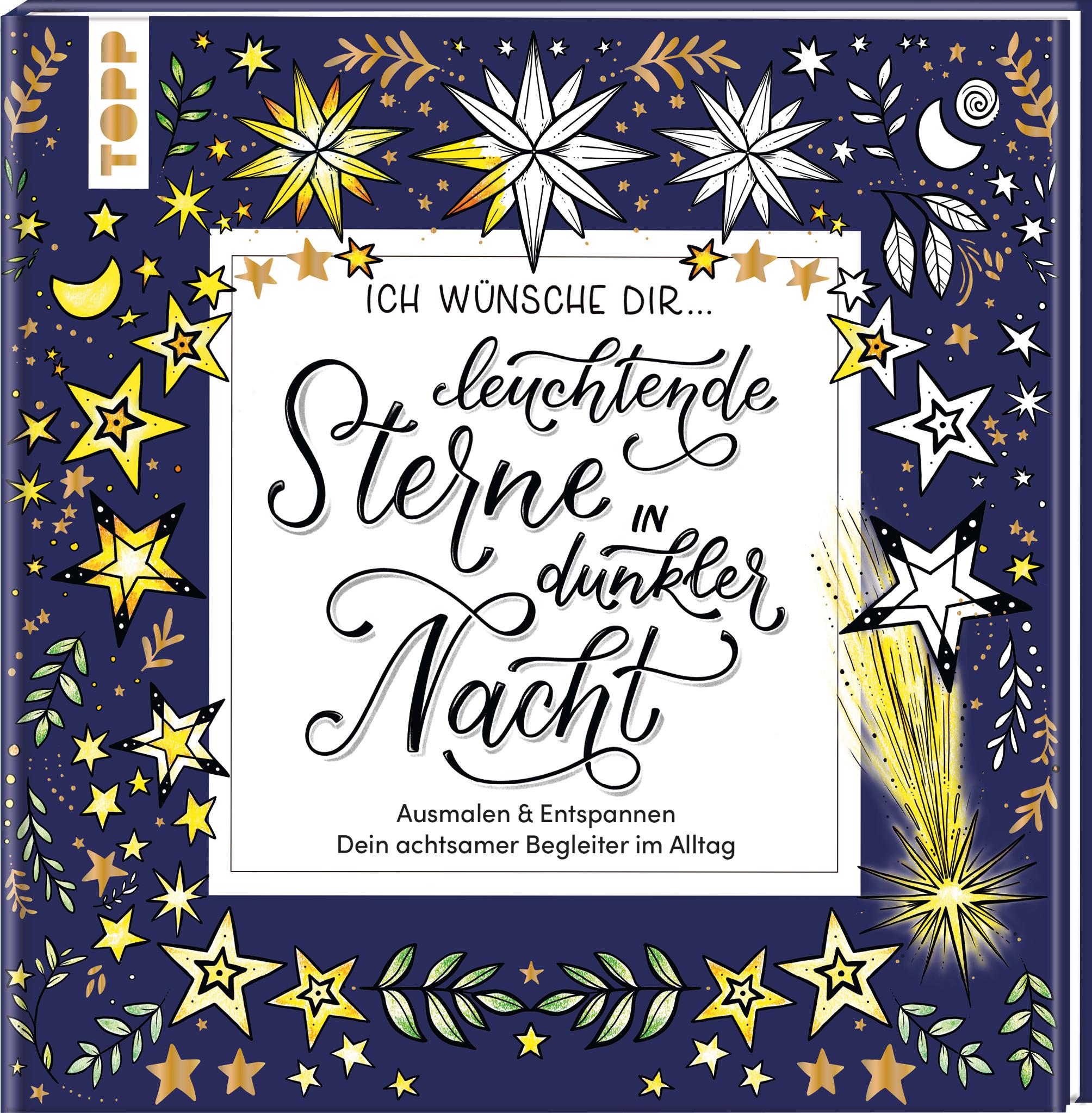 Cover: 9783735881793 | Ich wünsche dir ... leuchtende Sterne in dunkler Nacht | Frechverlag