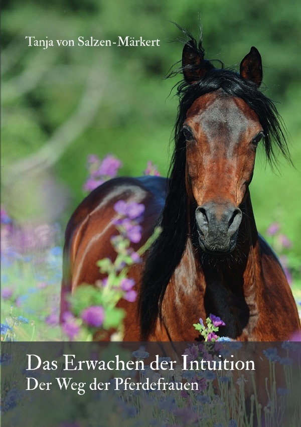 Cover: 9783750239395 | Das Erwachen der Intuition | Der Weg der Pferdefrauen | Salzen-Märkert