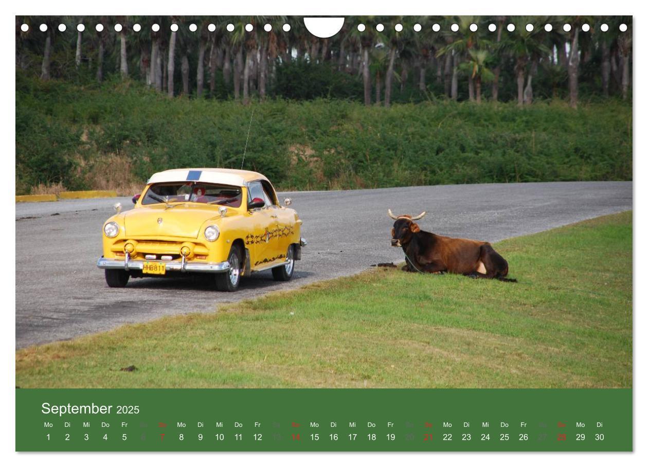 Bild: 9783435819348 | Cars of Cuba 2025 (Wandkalender 2025 DIN A4 quer), CALVENDO...