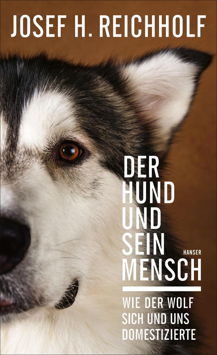 Cover: 9783446267794 | Der Hund und sein Mensch | Wie der Wolf sich und uns domestizierte