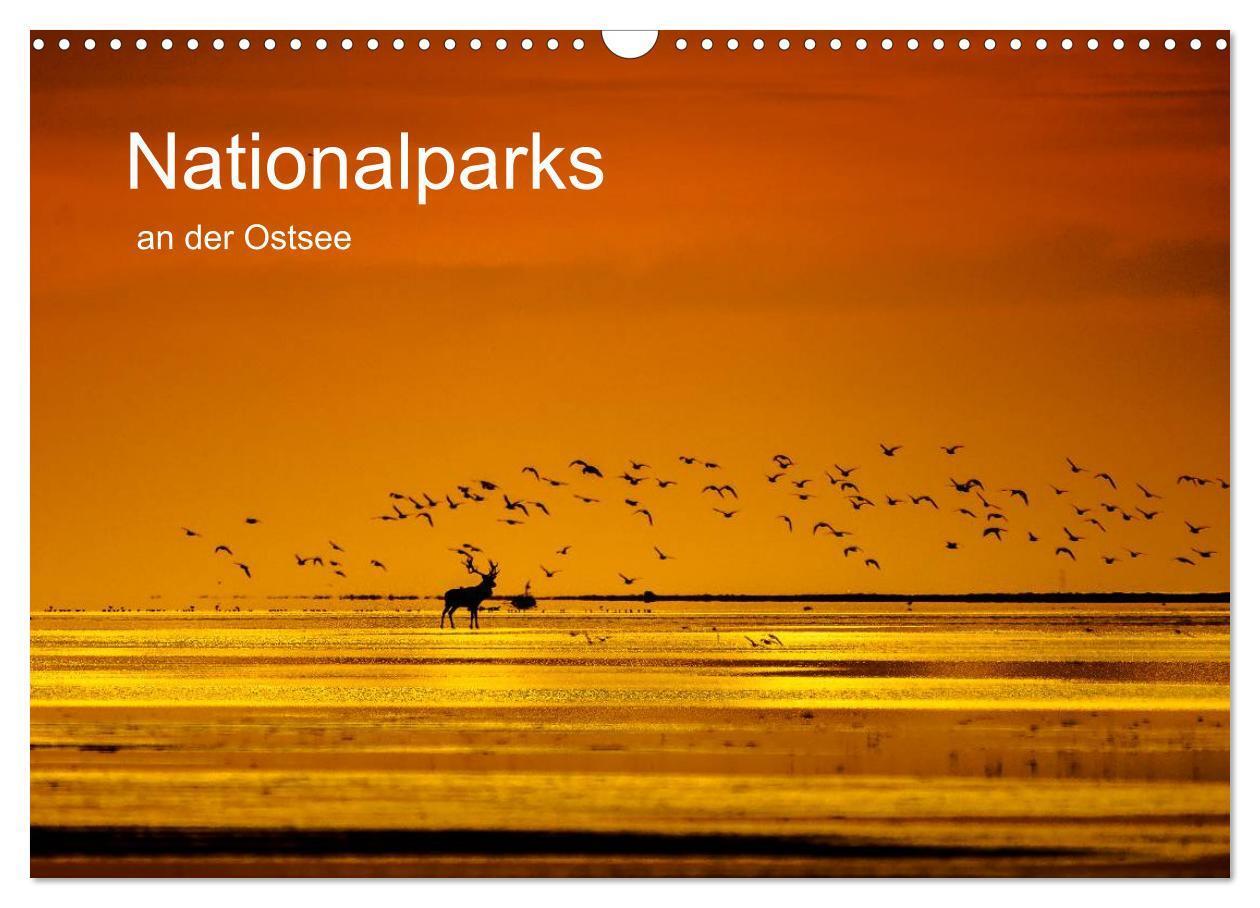 Cover: 9783383291999 | Nationalparks an der Ostsee (Wandkalender 2024 DIN A3 quer),...