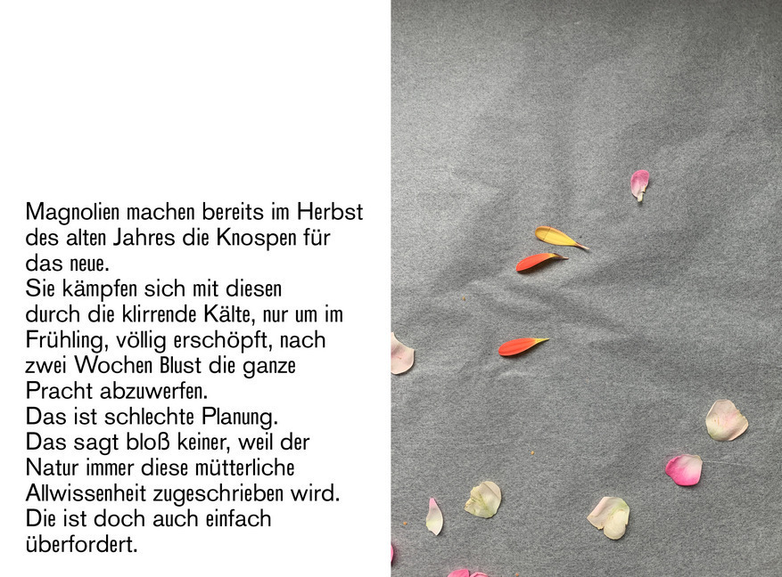 Bild: 9783962160036 | Blumen sind geil | Tine Melzer (u. a.) | Taschenbuch | 2020