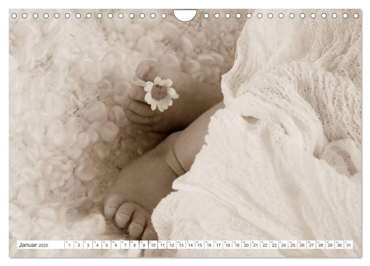 Bild: 9783435707362 | Babys - Willkommen im Leben (Wandkalender 2025 DIN A4 quer),...