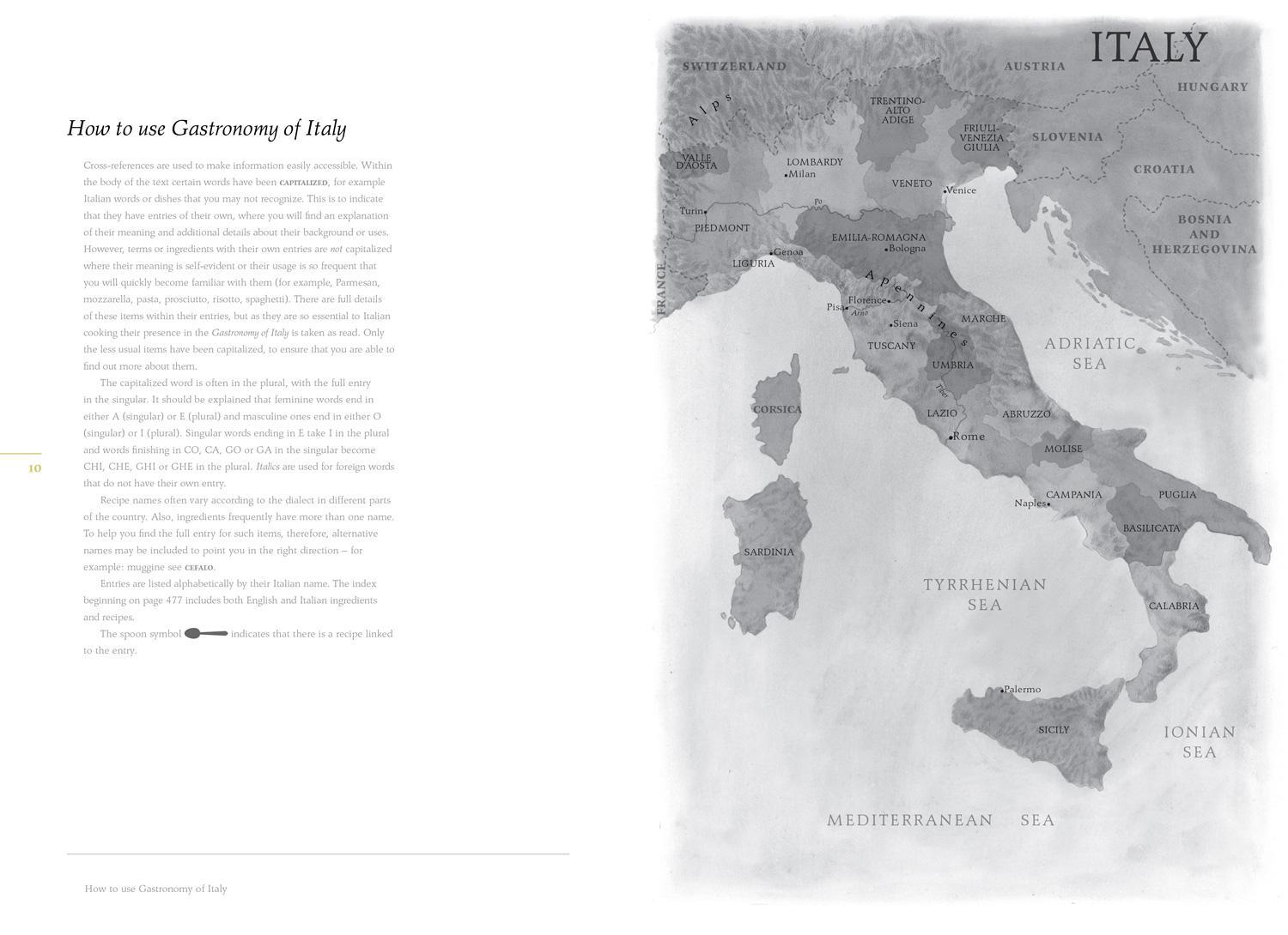 Bild: 9781862059580 | Gastronomy of Italy | Anna Del Conte | Buch | Englisch | 2013