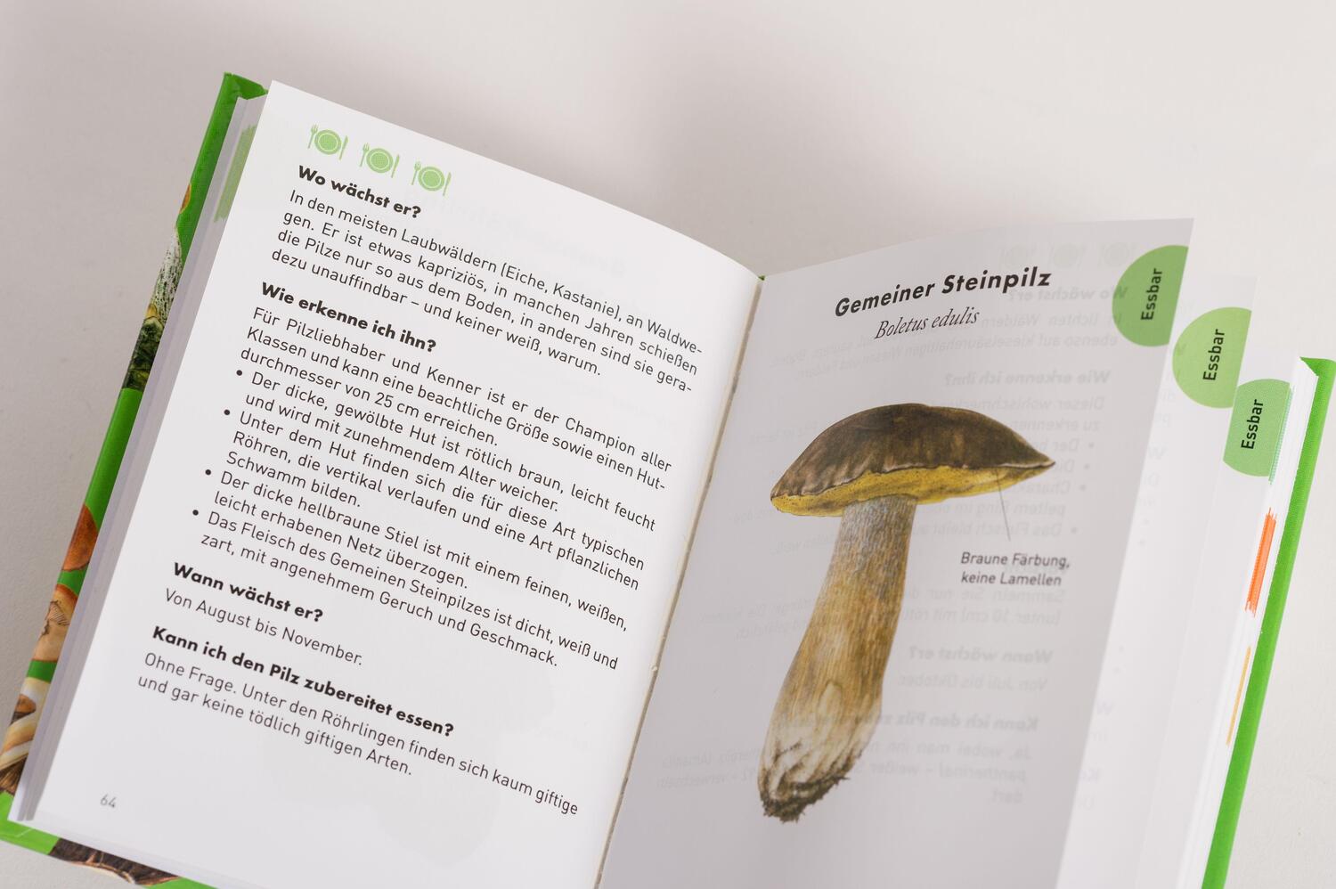 Bild: 9783730609002 | Anaconda Taschenführer Pilze. 59 Arten entdecken und bestimmen | Buch