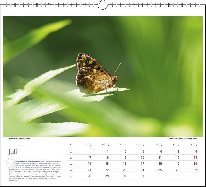 Bild: 9783861924272 | Lebensraum Bodensee - Schmetterlinge 2025 | Kalender | Spiralbindung