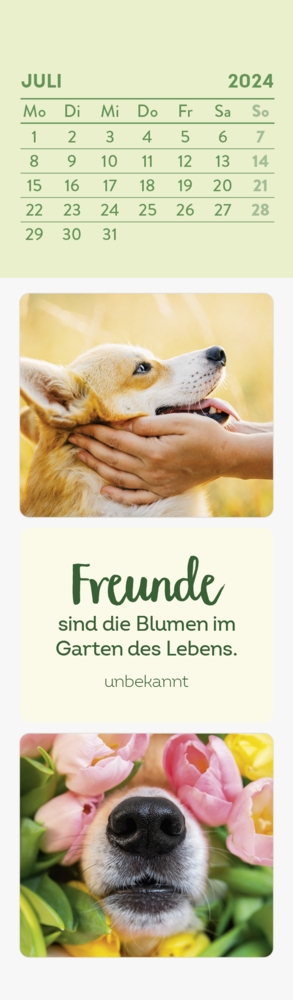 Bild: 4036442010419 | Lesezeichenkalender 2024: Hundefreunde | Groh Verlag | Kalender | 2024