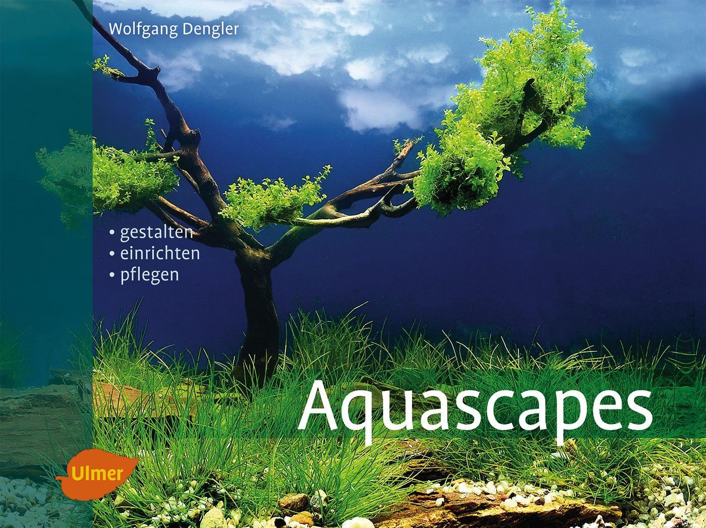 Cover: 9783800178704 | Aquascapes | Gestalten, einrichten, pflegen | Wolfgang Dengler | Buch