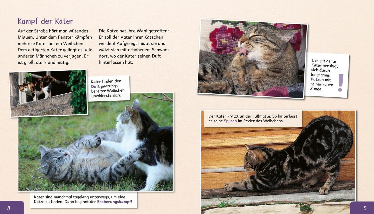 Bild: 9783480236596 | Meine große Tierbibliothek: Die Katze | Stéphanie Ledu-Frattini | Buch