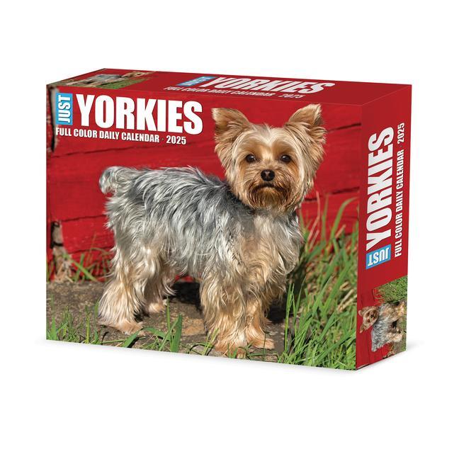 Cover: 9781549241130 | Yorkies 2025 6.2 X 5.4 Box Calendar | Willow Creek Press | Kalender