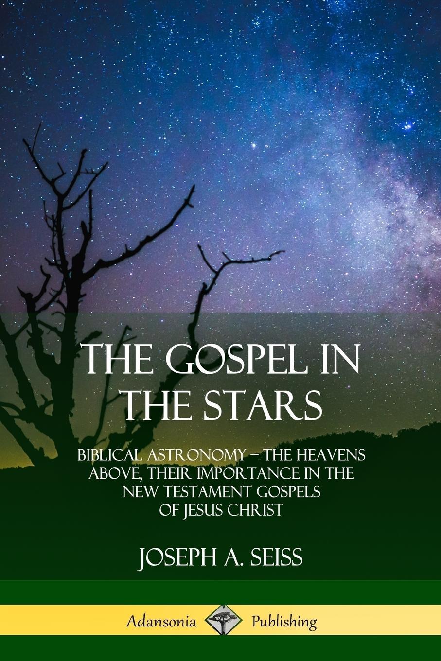 Cover: 9780359013296 | The Gospel in the Stars | Joseph A. Seiss | Taschenbuch | Paperback
