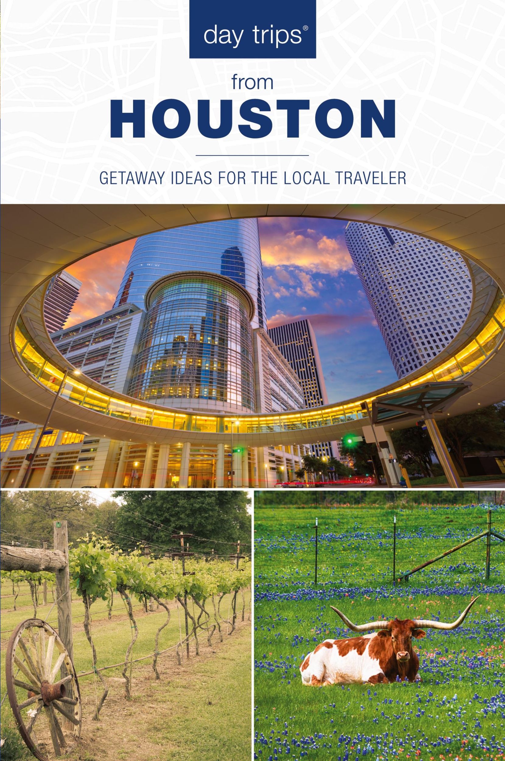 Cover: 9781493031436 | Day Trips® from Houston | Getaway Ideas For The Local Traveler | Buch