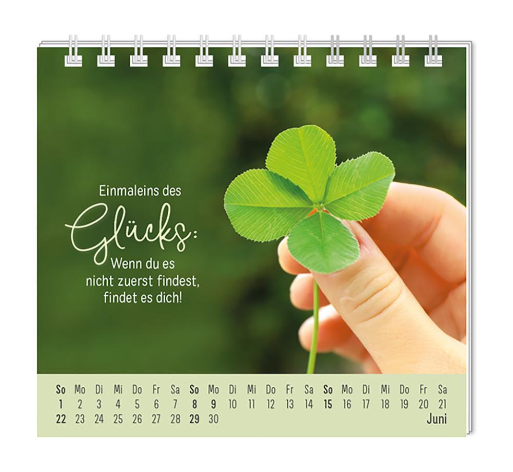 Bild: 9783986361075 | Mini-Kalender 2025 Eine Extraportion Glück für dich! | Mini-Kalender