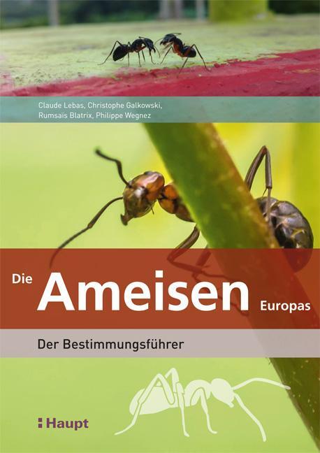 Cover: 9783258081274 | Die Ameisen Europas | Der Bestimmungsführer | Claude Lebas | Buch