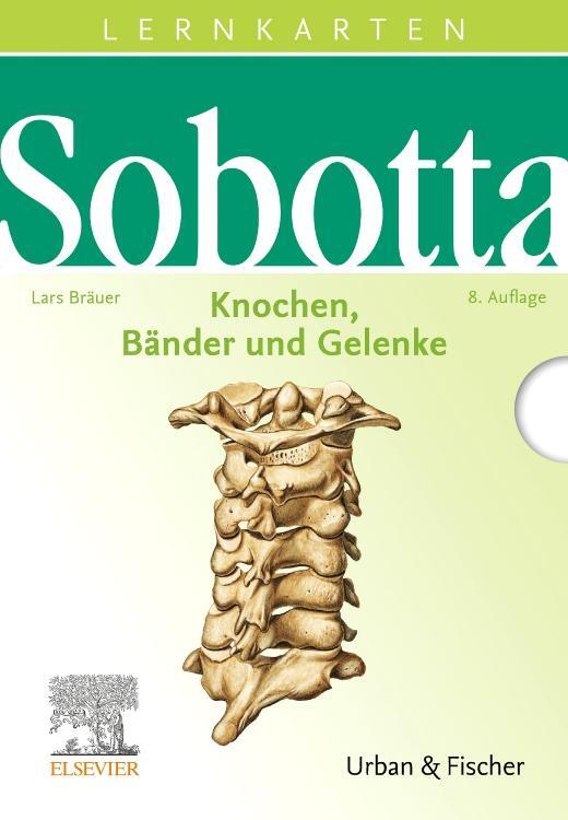 Cover: 9783437430268 | Sobotta Lernkarten Knochen, Bänder und Gelenke | Lars Bräuer | Box