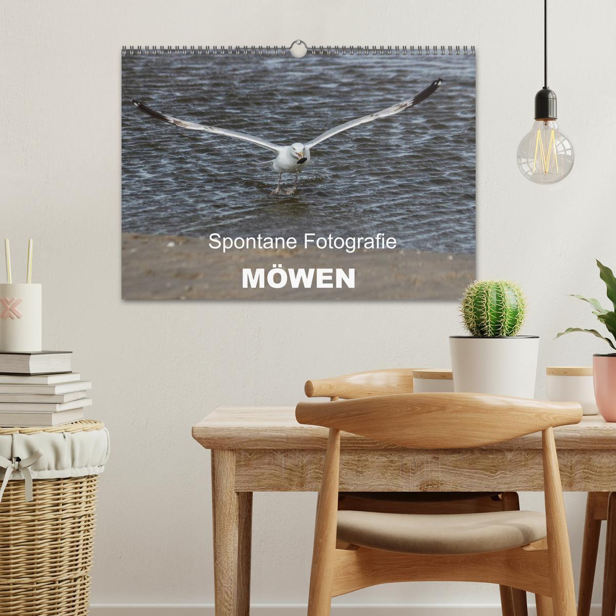 Bild: 9783435655380 | Spontane Fotografie - Möwen (Wandkalender 2025 DIN A3 quer),...