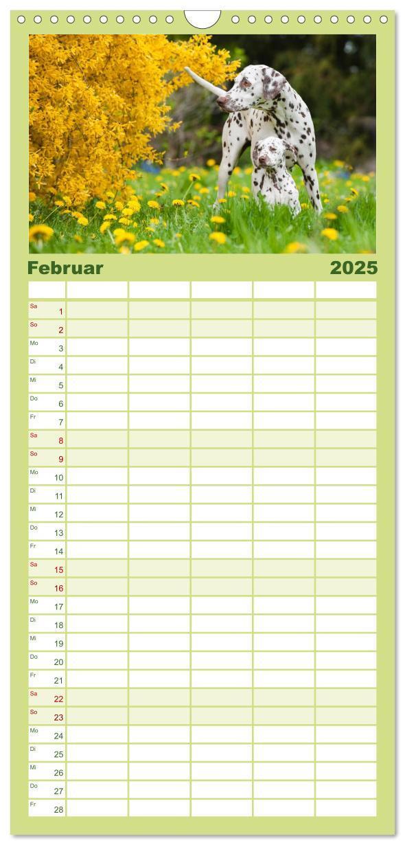 Bild: 9783457113578 | Familienplaner 2025 - Dalmatiner mit 5 Spalten (Wandkalender, 21 x...