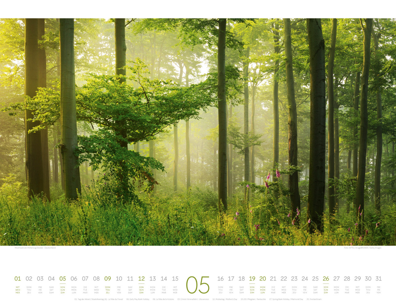 Bild: 9783838424385 | Morgenlicht Kalender 2024 | Ackermann Kunstverlag | Kalender | 14 S.