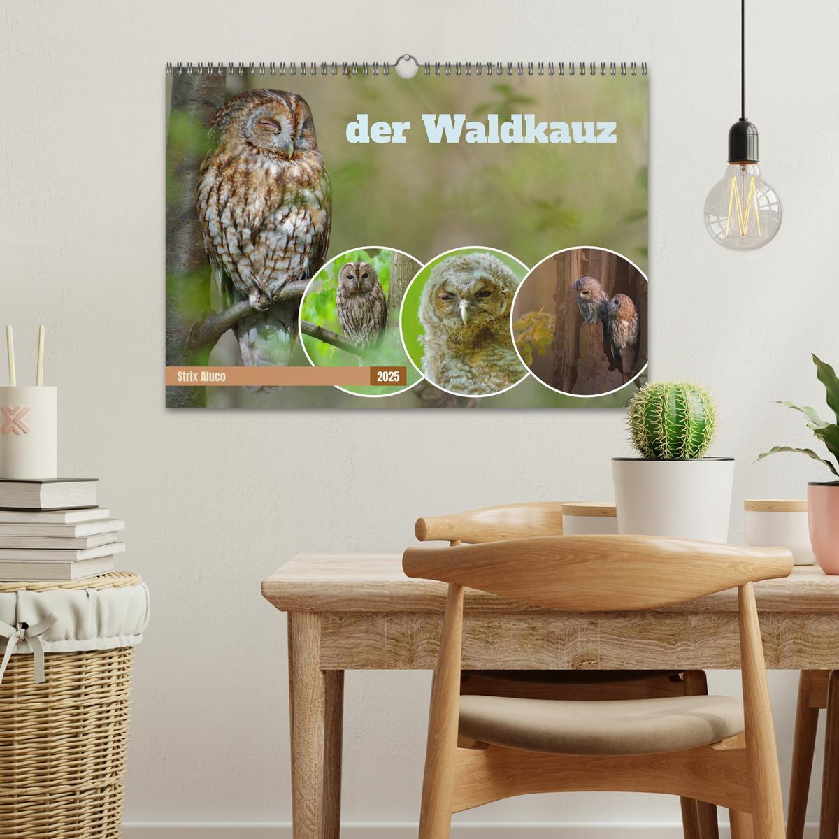 Bild: 9783383834356 | der Waldkauz - Strix Aluco (Wandkalender 2025 DIN A3 quer),...