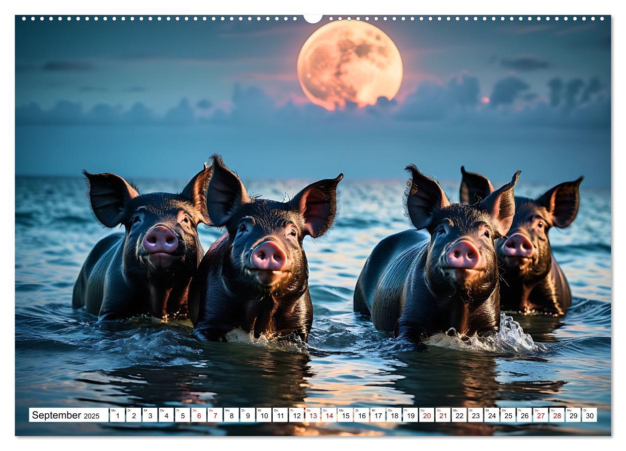 Bild: 9783383834738 | Schwimmende Schweine im Paradies (Wandkalender 2025 DIN A2 quer),...