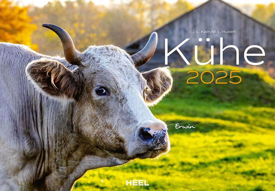 Cover: 9783966648226 | Kühe Kalender 2025 | Der Tierkalender mit den charmanten Namen | 14 S.