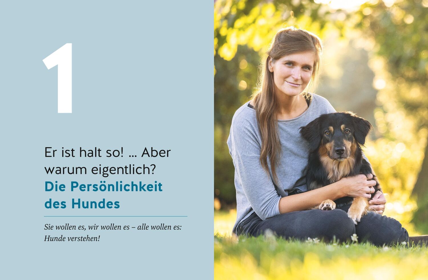 Bild: 9783833891427 | Wie ich meinen Hund endlich verstehe | Kristina Ziemer-Falke (u. a.)