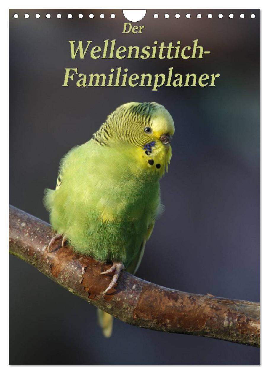 Cover: 9783383498657 | Der Wellensittich-Familienplaner (Wandkalender 2024 DIN A4 hoch),...