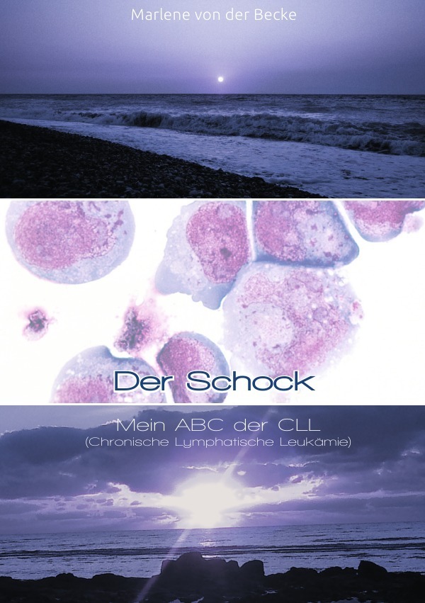 Cover: 9783737554381 | Der Schock | Mein ABC der CLL (Chronische Lymphatische Leukämie)