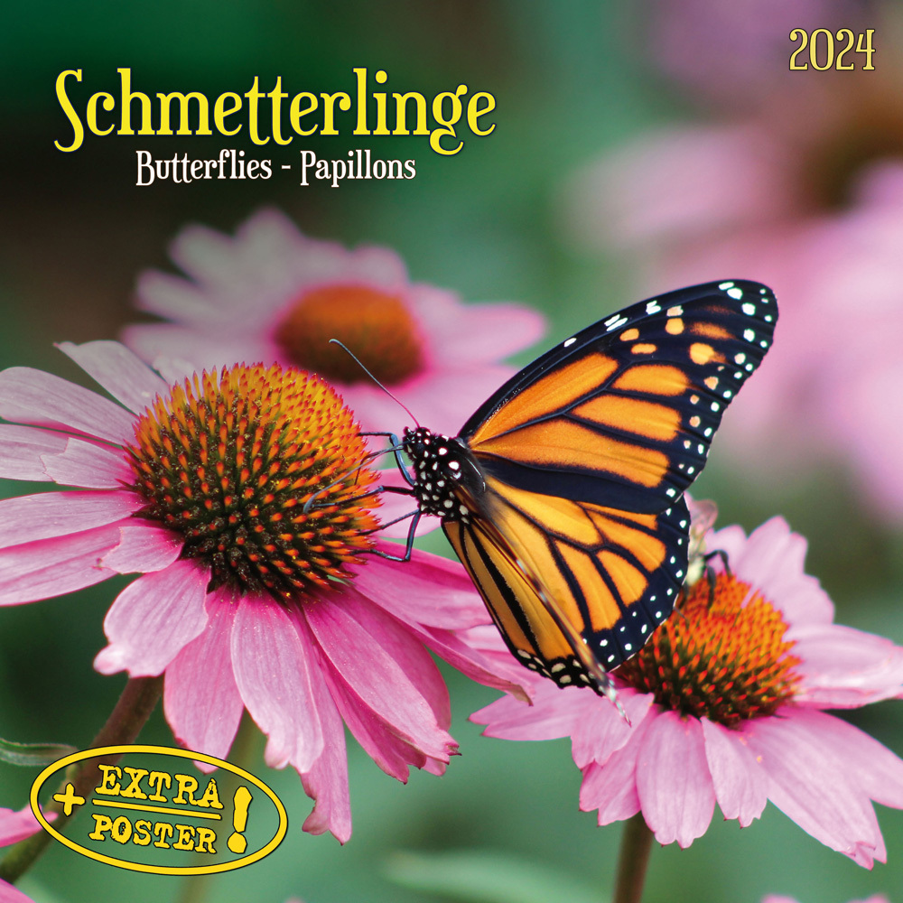 Cover: 9783959293426 | Schmetterlinge 2024 | Kalender 2024 | Kalender | Drahtheftung | 28 S.
