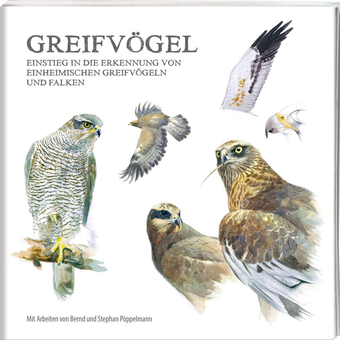 Cover: 9783949076275 | Greifvögel | Bernd Pöppelmann (u. a.) | Broschüre | 32 S. | Deutsch