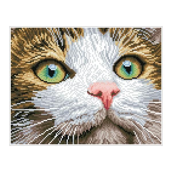 Bild: 4895225915057 | Diamond Dotz Katze mit grünen Augen | Stück | Deutsch | Diamond Dotz