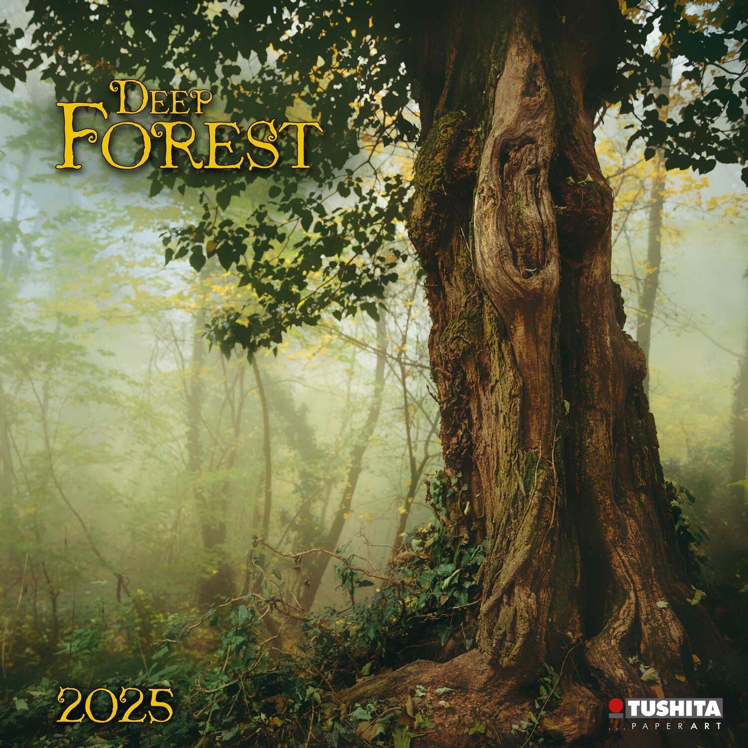 Cover: 9783959294065 | Deep Forest 2025 | Kalender 2025 | Kalender | Wonderful World | 28 S.