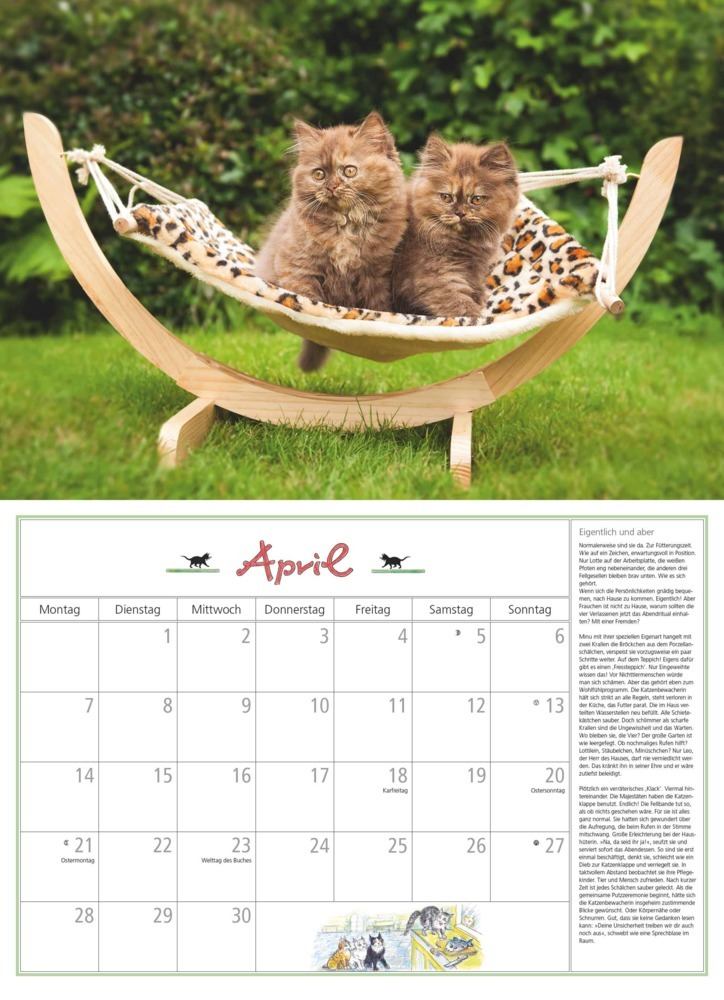 Bild: 4250809652412 | DUMONT - DUMONTS Katzenkalender 2025 Broschürenkalender, 42x29cm,...