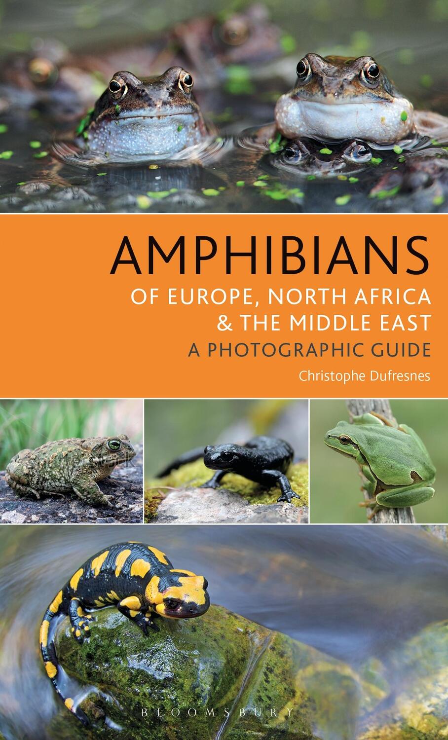 Autor: 9781472941374 | Amphibians of Europe, North Africa and the Middle East | Dufresnes